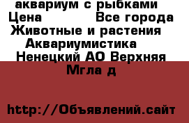 аквариум с рыбками › Цена ­ 1 000 - Все города Животные и растения » Аквариумистика   . Ненецкий АО,Верхняя Мгла д.